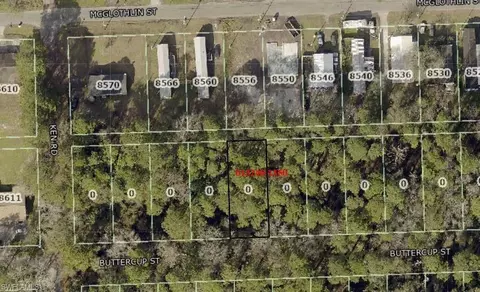 Buttercup St, Jacksonville, FL 32210