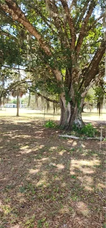 75 Ft Denaud Bridge Way, Labelle, FL 33935 photo 5