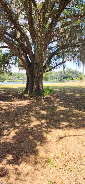 75 Ft Denaud Bridge Way, Labelle, FL 33935 photo 7
