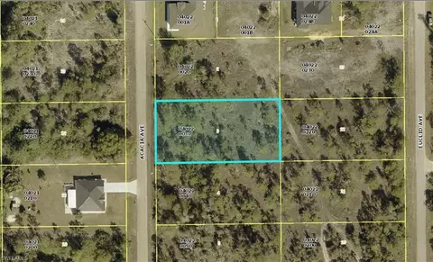 918 Acacia Ave, Lehigh Acres, FL 33972
