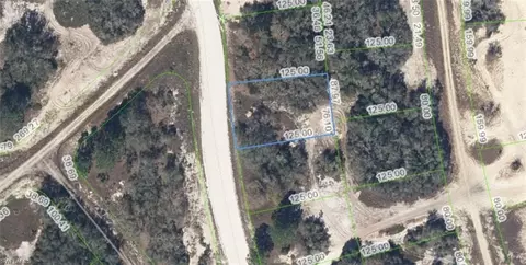 333 Wildwood Dr, Lake Placid, FL 33852