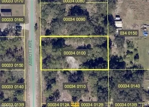 1004 Abbott Ave, Lehigh Acres, FL 33972