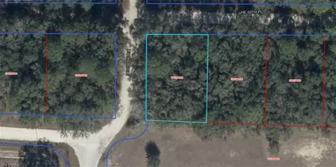 NE 50th Pl, Williston, FL 32696