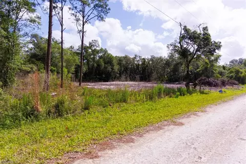 0 Bigelow Ave, Webster, FL 33597 photo 11