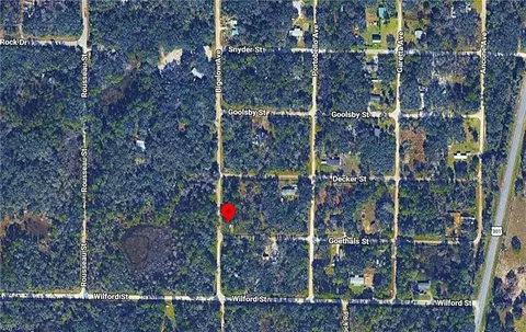 0 Bigelow Ave, Webster, FL 33597 photo 4
