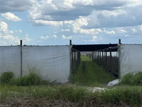 5360 3rd Rd, Labelle, FL 33935 photo 8