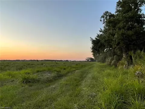 501 Norris Rd, Labelle, FL 33935 photo 4