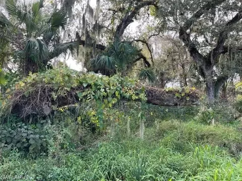 501 Norris Rd, Labelle, FL 33935 photo 9