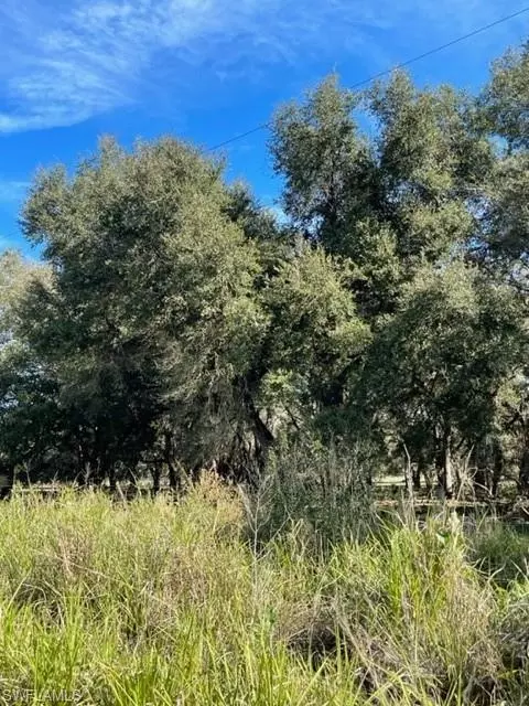 501 Norris Rd, Labelle, FL 33935 photo 11