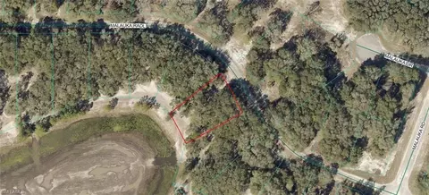 9031-0946 38 Malauka Radl, Ocklawaha, FL 32179