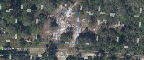 318 Glenbrier Ave, Lake Placid, FL 33852