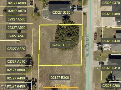3106 NE Juanita Pl, Cape Coral, FL 33909