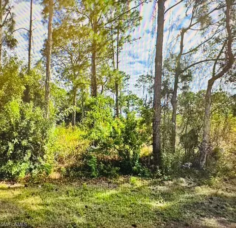 334 Mangonia Ave, Lehigh Acres, FL 33974