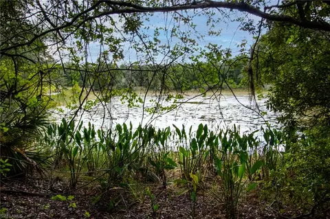 34122 August Ave, Webster, FL 33597 photo 9