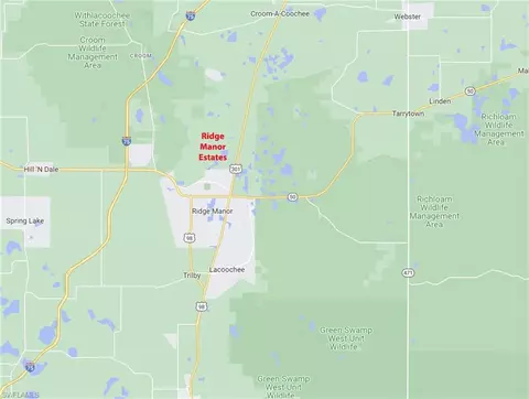 34122 August Ave, Webster, FL 33597 photo 11