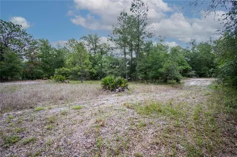 34122 August Ave, Webster, FL 33597 photo 5