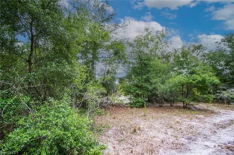 34122 August Ave, Webster, FL 33597 photo 6
