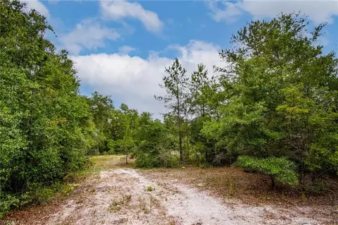 34122 August Ave, Webster, FL 33597 photo 7