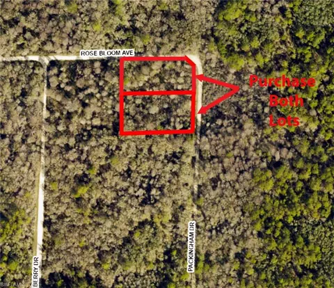 Packingham Dr, Webster, FL 33597 photo 3