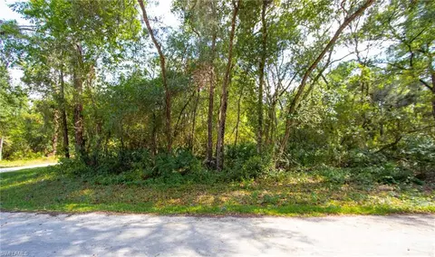 Packingham Dr, Webster, FL 33597 photo 2