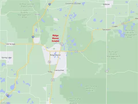 35028 Batesfield St, Webster, FL 33597 photo 9