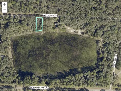 35028 Batesfield St, Webster, FL 33597 photo 1