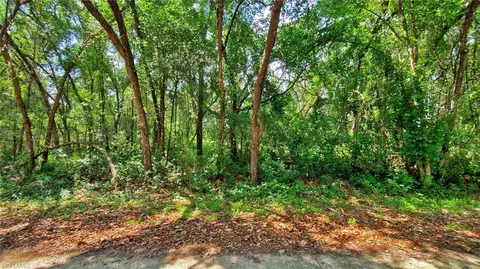 35028 Batesfield St, Webster, FL 33597 photo 5