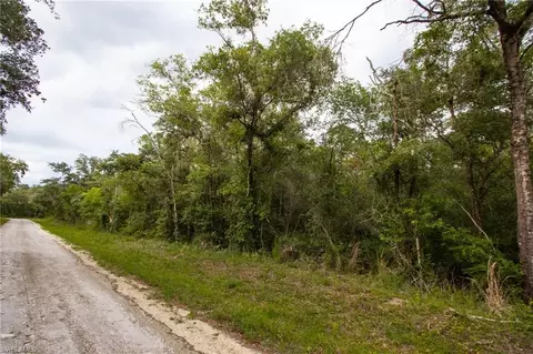 7398 Southeast Ave, Webster, FL 33597 photo 3