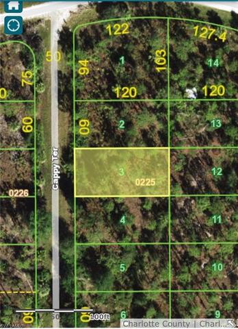 13340 Cappy Ter, Punta Gorda, FL 33955