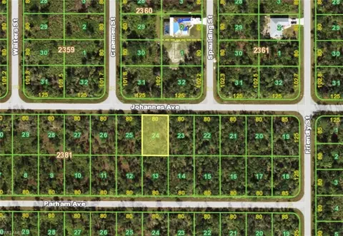 13157 Johannes Ave, Port Charlotte, FL 33953