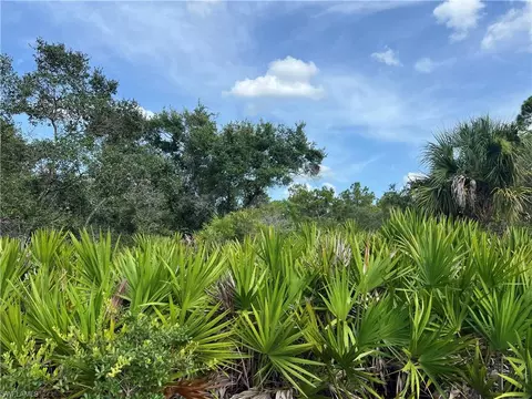 4183 E 27th St, Alva, FL 33920 photo 9