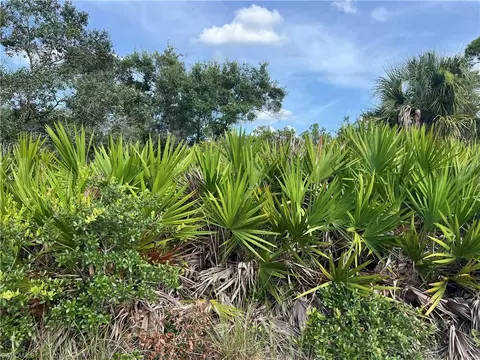 4183 E 27th St, Alva, FL 33920 photo 10