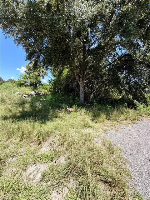 Undisclosed, Labelle, FL 33935 photo 4