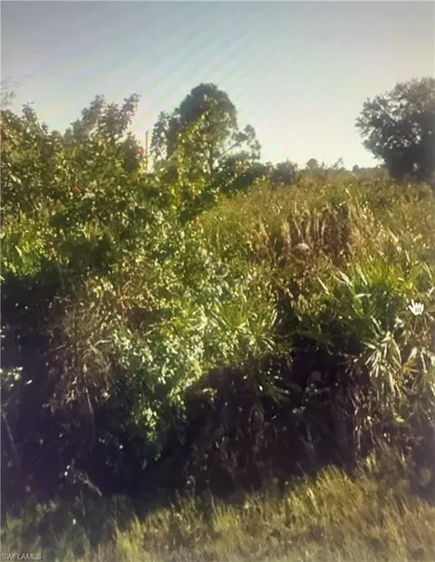 3402 64th St W, Lehigh Acres, FL 33971
