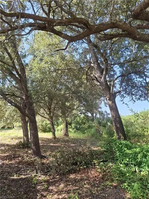 7979 22nd Pl, Labelle, FL 33935 photo 2