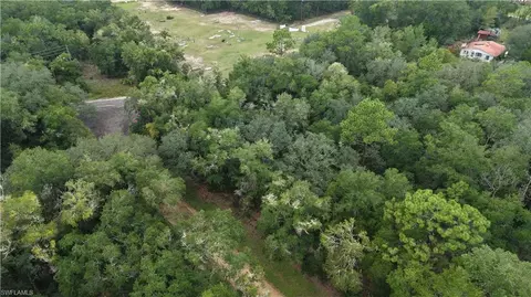 Crocus Ln, Interlachen, FL 32148 photo 9