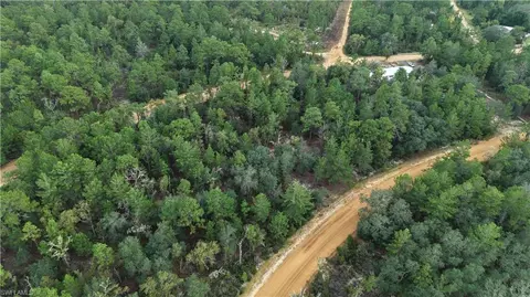 Crocus Ln, Interlachen, FL 32148 photo 35