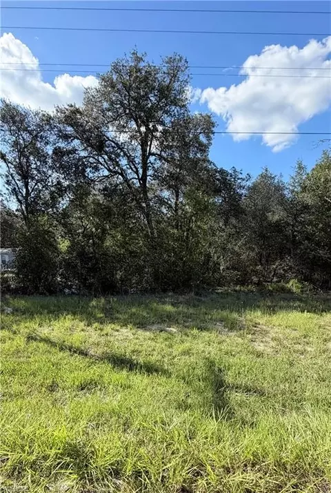 NE 106th Ter, Williston, FL 32621