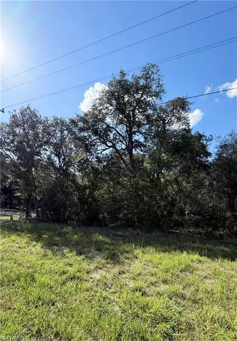 NE 106th Ter, Williston, FL 32621 photo 3