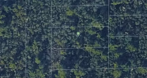 Evelyn St, Deltona, FL 32738
