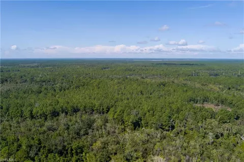 48559-39219 Gandy Rd, Mims, FL 32754 photo 24