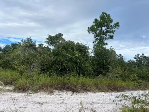 4187 E 27th St, Alva, FL 33920 photo 9