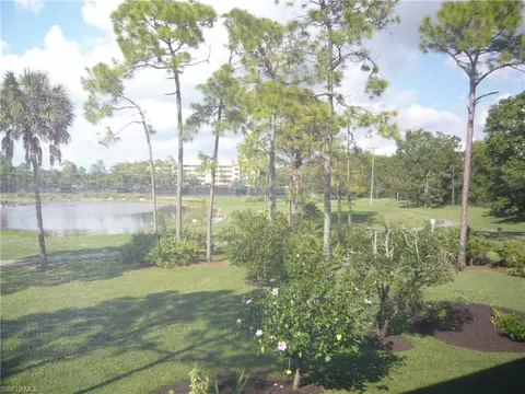 4110 Lorene Dr #209, Estero, FL 33928 photo 23