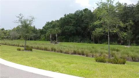 21250 Estero Preserve Run, Estero, FL 33928 photo 22