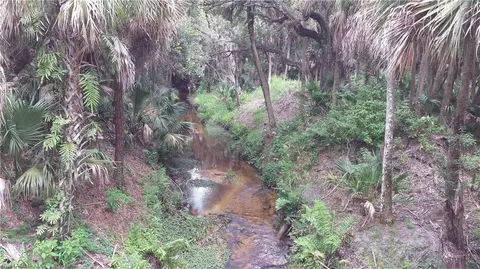 21250 Estero Preserve Run, Estero, FL 33928 photo 21