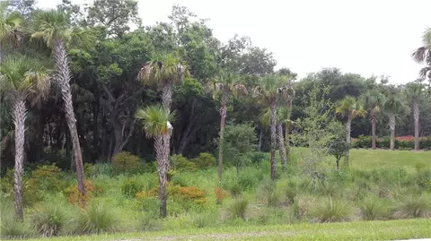 21250 Estero Preserve Run, Estero, FL 33928 photo 23
