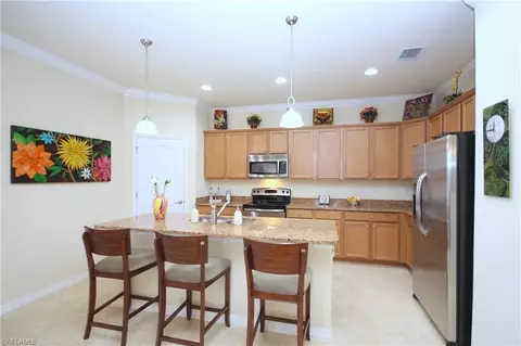 21153 Bella Terra Blvd, Estero, FL 33928 photo 6