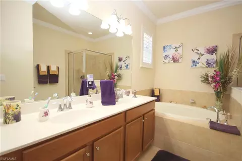 21153 Bella Terra Blvd, Estero, FL 33928 photo 16