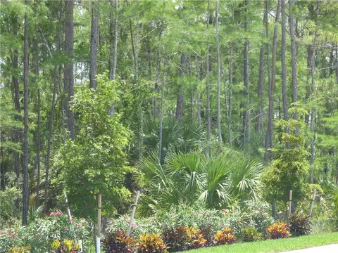 1534 Mockingbird Dr, Naples, FL 34120 photo 20