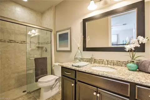 20536 Black Tree Ln, Estero, FL 33928 photo 21